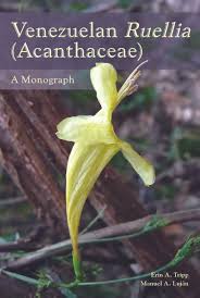 Image result for Acanthaceae