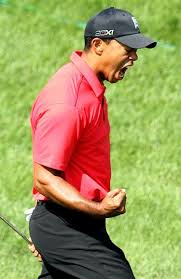 Tiger Woods Tiger Woods Sports Tiger