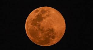 Kumpulan foto supermoon gambar bulan purnama pic bulan. Saksikan Pink Supermoon Malam Ini Terbesar Dan Tercerah Di 2021