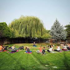 Hours may change under current circumstances Experience Boise Goat Yoga Totally Boise