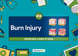 11 Burn Injury Nursing Care Plans Nursing Diagnosis