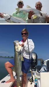 Andy tasker—drew developed a keen and useful mental picture of how snook relate to bridge structure—and why those big. Snook Fishing Charter Clearwater Fl Clearflats