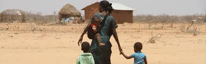 Jun 23, 2021 · cameroon has secured a $192.2 million loan from the african development bank (afdb) to build what officials describe as a road for peace in the troubled anglophone region. About Ocha Rosea Ocha