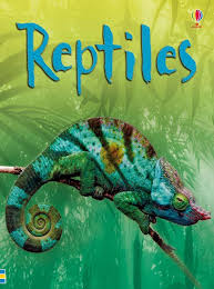 Reptiles At Usborne Children S Books In 2020 Reptiles World Turtle Day Reptiles Kindergarten