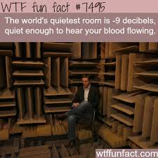 The Quietest Room In The World Wtf Fun Facts Fun Facts Wtf Fun Facts Funny Facts