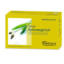 Sidroga Spitzwegerichtee 20x1 4 G Shop Apotheke Com Wir haben für sie eine kleine heilpflanzenkunde mit den zehn wirkungsvollsten heilkräutern bei magenbeschwerden zusammengestellt.