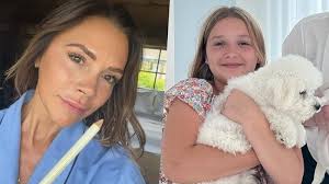 Victoria Beckham se apavora após mulher perseguir sua filha: ''Ela vive com  medo''