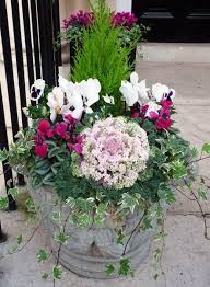 Green Acres Nursery Supply Gardening Blog Container Garten Garten Design Und Blumengestecke