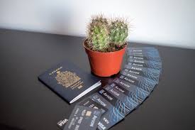 Aug 16, 2021 · rbc offers many credit options to suit your individual or family needs. Rbc Avion Cards Record High 35 000 Points Across The Board Prince Of Travel