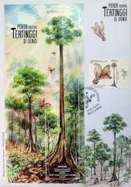 Journal of the malaysian institute of planners. New Issues 2020 Malaysia World S Tallest Tropical Tree Philatelic Pursuits