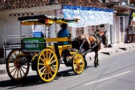 Maybe you would like to learn more about one of these? Dimaspradensa Andong Kereta Kuda Delman