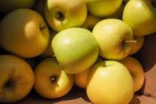 Apple & Honey Harvest