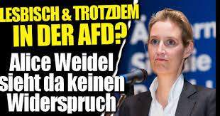 She has been a member of the bundestag (mdb). Alice Weidel Privat Freundin Und Sohne So Lebt Die Afd Politikerin News De