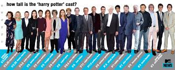 Harry Potter Height Chart Whos The Tallest Actor Harry
