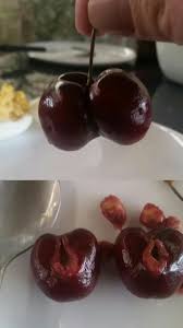 Popped her cherrypopped her cherry. How To Pop Her Cherry