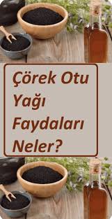 Corek Otu Yaginin Saca Cilde Beyne Faydalari Ve Zararlari Otlar Dogal Receteler Bitki