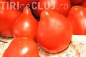 Am luat eu teapa anul asta , gogsarii si vinetele nu au. RoÈiile Èuguiate Suspecte De A Fi Cancerigene Dr Menci Nu Sunt RoÈii Autentice RomaneÈti Stiri De Cluj