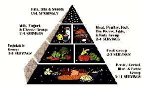 Height Weight Calorie Charts