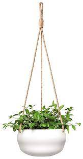 Amazon Com Mkono Modern Ceramic Hanging Planter For Indoor Plants Porcelain Hanging Plant Holder 8 Inch Hanging Plants Hanging Planters Hanging Plants Indoor