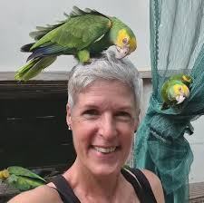 The rollercoaster life of the Dutch white storks