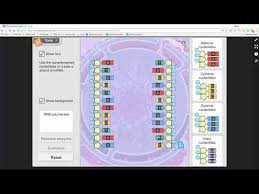 Operating out of our very own custom made trailers, our franchisees are able to provide you: Enzymes Gizmo Answers Quizlet Find The Most Satisfying Answers