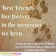 Scorpio makes a fulfilling and enjoyable friend for you, cancer. Losing A Friend To Cancer Quotes Hover Me