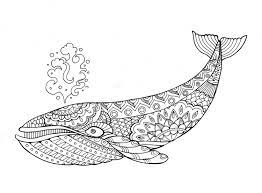 Make a coloring book with whale mandala for one click. Pin On To Do