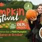 Pumpkin Festival at Cannon Hall Farm event image