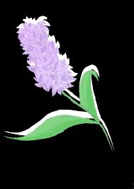 Kieran white, better known as the purple hyacinth, is the deuteragonist of the webtoon purple hyacinth. Purple Hyacinth Ryâ´á§ PsÆÆÒ½É¾ Illustrations Art Street