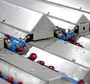 Reemoon Cherry Sorting Machine