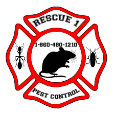 The connected metric is a citywide average based on fcc data showing the density of broadband. The 10 Best Exterminators In New Haven Ct With Free Estimates