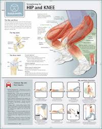 Strengthening The Hip Knee Chart Paper