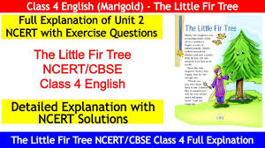 Class 4 English The Little Fir Tree Ncert Class 4 English The Little Fir Tree Question Answers Youtube