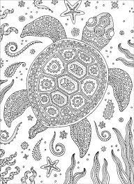 Turtle, with complex and beautiful patterns. Pin On äº®ç‰‡