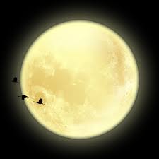 Maybe you would like to learn more about one of these? Download Hd Png Moon Png Library Library Planet Transparent Png Image Nicepng Com