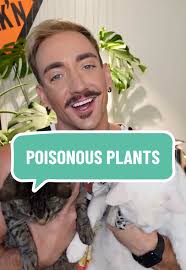 Understanding Toxic vs Poisonous House Plants