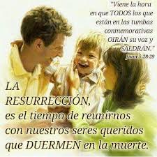 Www Jw Org Imagenes Testigos De Jehova Testigos De Jehova Espanol Frases Biblicas De Animo