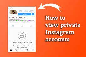 Like igexclusive, all you have to do is just enter the username of the instagram account holder and click view private profile now. How Can You View Private Instagram Accounts Instagram Private Account Buy Instagram Followers Instagram Accounts