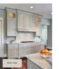 Top 10 Gray Cabinet Paint Colors Builders Surplus Painted Kitchen Cabinets Colors Grey Kitchen Designs Kitchen Cabinets Makeover
