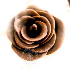 chocolate rose win usd160 paypal cash this cny 巧克力玫瑰花 160美元贝宝奖金等您赢取 victoria bakes chocolate roses chocolate corn syrup
