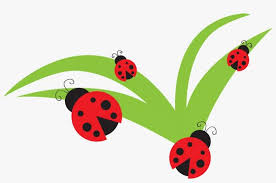 Images with ladybug and the cat noir are in many groups on social networks, and the cartoon itself goes through the famous disney channel. Branches Clipart Ladybug Ladybug On Leaf Cartoon Png Image Transparent Png Free Download On Seekpng