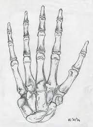 Skeleton Hand Skeleton Drawings Skeleton Hands Drawing How To Draw Hands Free coloring sheets to print and download.