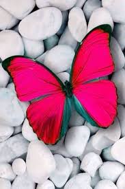 Imagenes con frases de reflexion para perfil de. Frases Bonitas Fotos Para Perfil De Whatsapp Tumblr Novocom Top