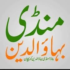 Profile for MANDI ALY