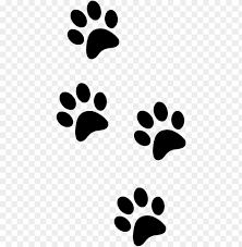 We did not find results for: Lion Paw Print Clipart Clip Art Png Image With Transparent Background Toppng