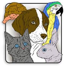 Why do you bring your pet to research boulevard? Home Austin Tx Veterinary Hospital 78745 Veterinarian