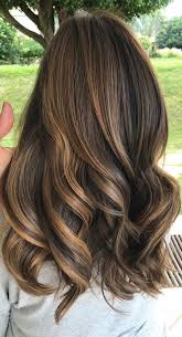 This bronde style pairs amazingly well with olive and cool skin tones. Best Hair Colours To Look Younger Dark Hair With Honey Highlight Idea