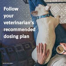 Buy discount metacam 5mg/ml from our online pharmacy. Metacam 1800petmeds