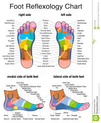 Reflexology Plantar Sole Profile Feet Stock Vector