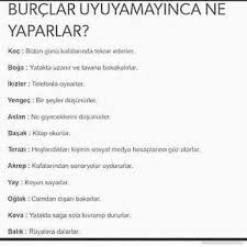 Minik Kus Adli Kullanicinin Terazi Panosundaki Pin Burclar Ikizler Burc Bilgileri
